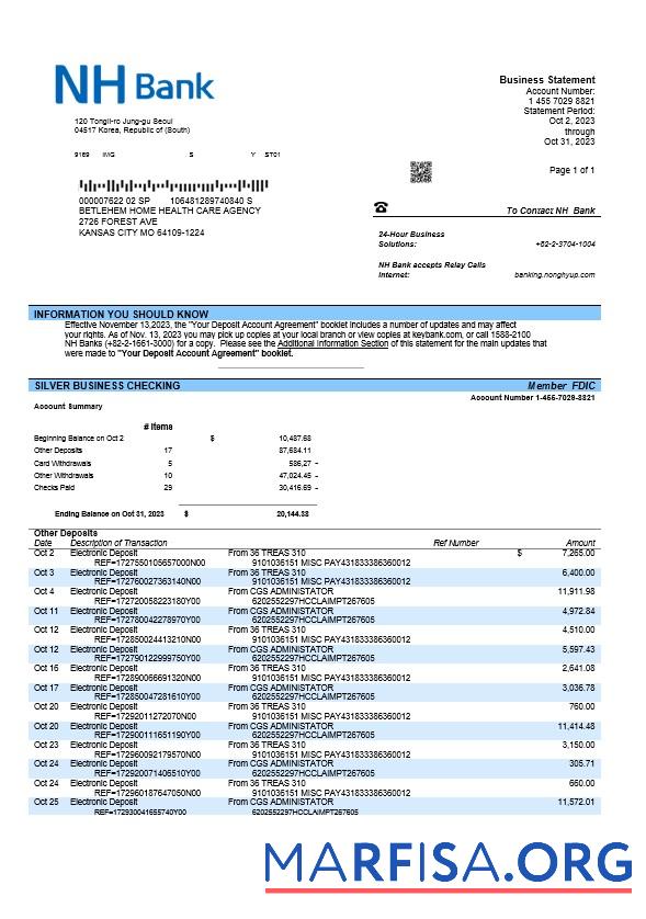 Downloadable NH Bank firm account statement Word and PDF template